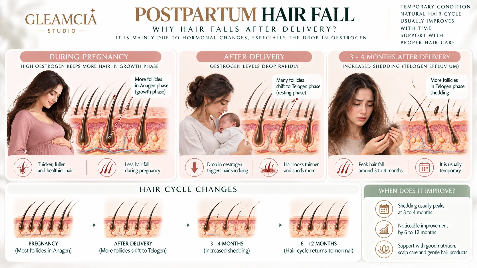Postpartum hair fall timeline — why hair falls after delivery due to oestrogen drop and telogen effluvium